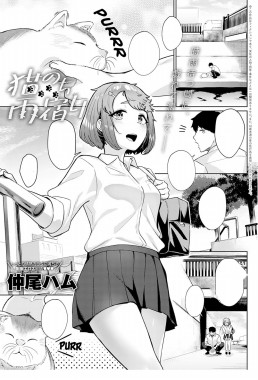 Neko nochi Amayadori