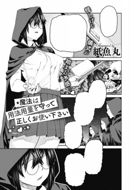 Mahou wa Youhou Youryou wo Mamotte Tadashiku Otsukaikudasai